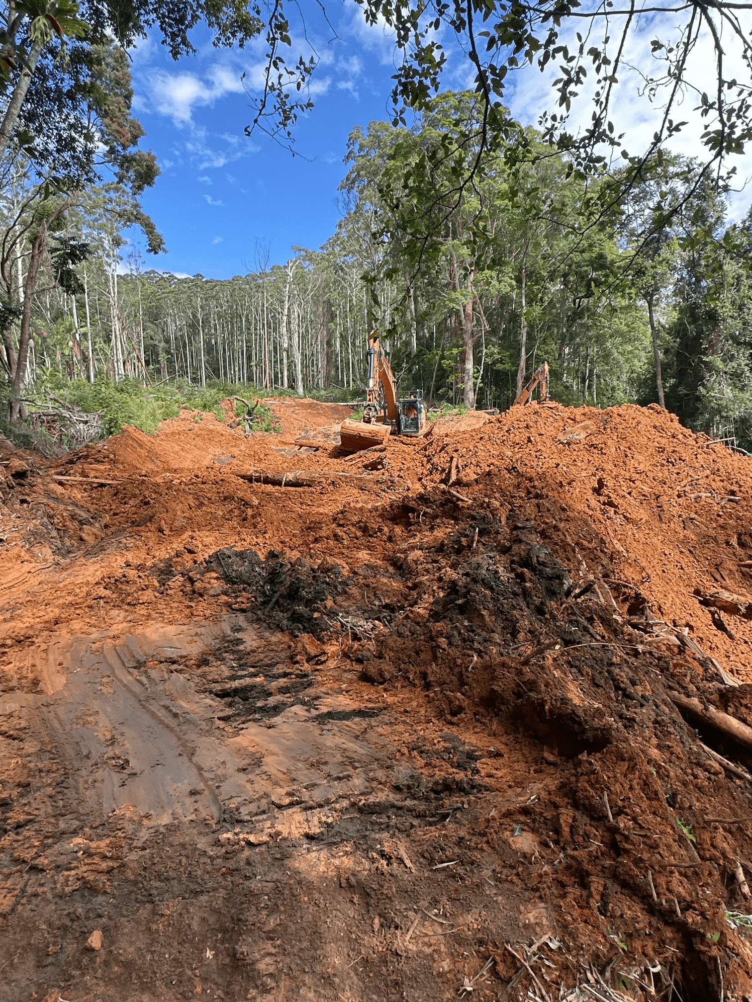 https://www.nationalparks.nsw.gov.au/
